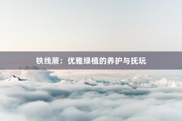 铁线蕨：优雅绿植的养护与抚玩
