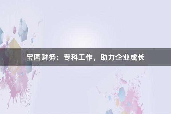 宝园财务：专科工作，助力企业成长