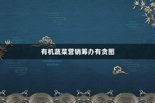 有机蔬菜营销筹办有贪图